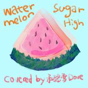 watermelon sugar