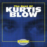 Kurtis Blow - If I Ruled The World (instrumental)