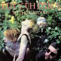 In the Garden (2018 Remastered)专辑