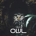 OWL专辑