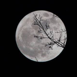 祝我们好在秋天