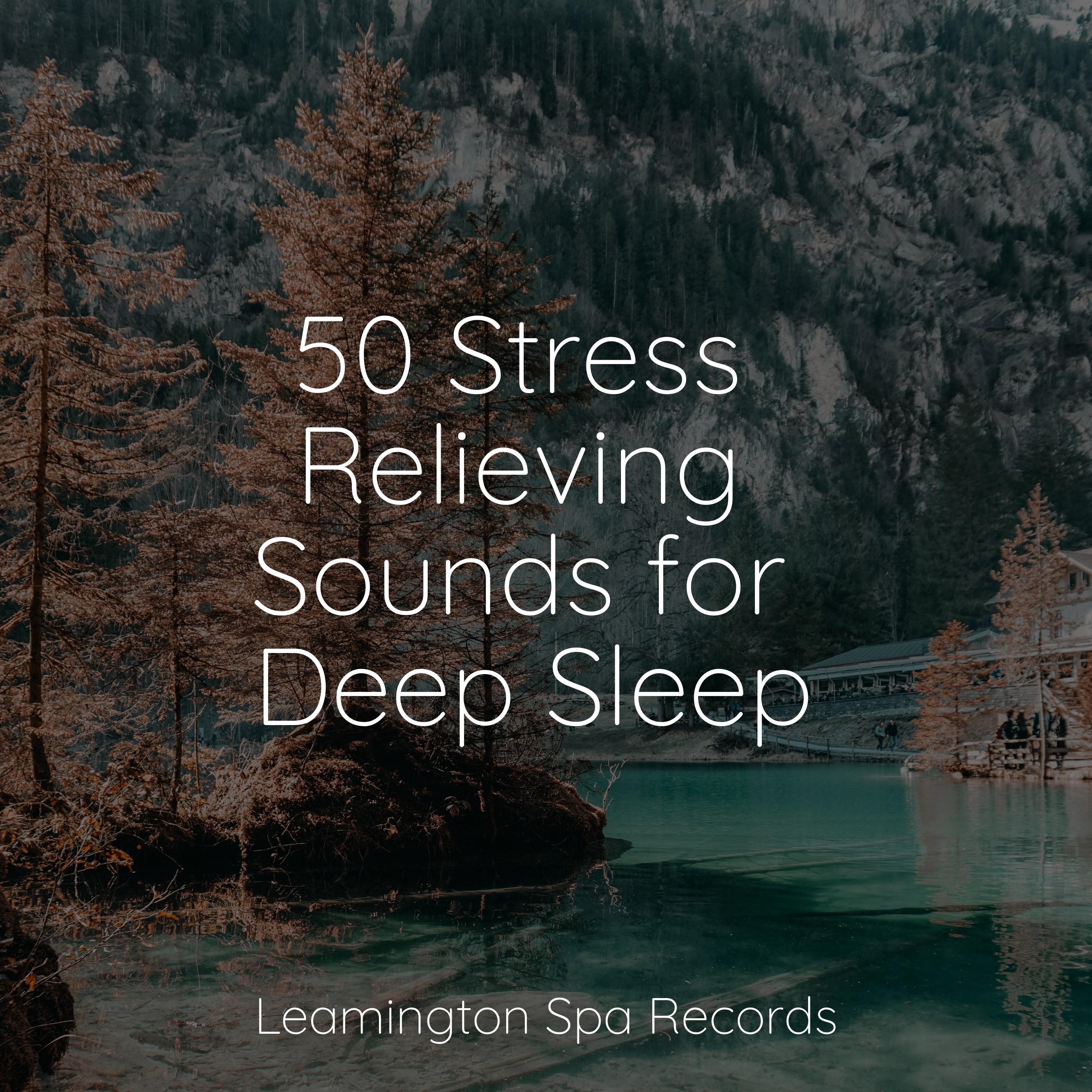 50 Stress Relieving Sounds for Deep Sleep