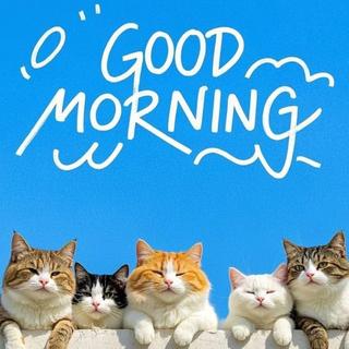 元气清晨｜Good morning！新的一天，加油！