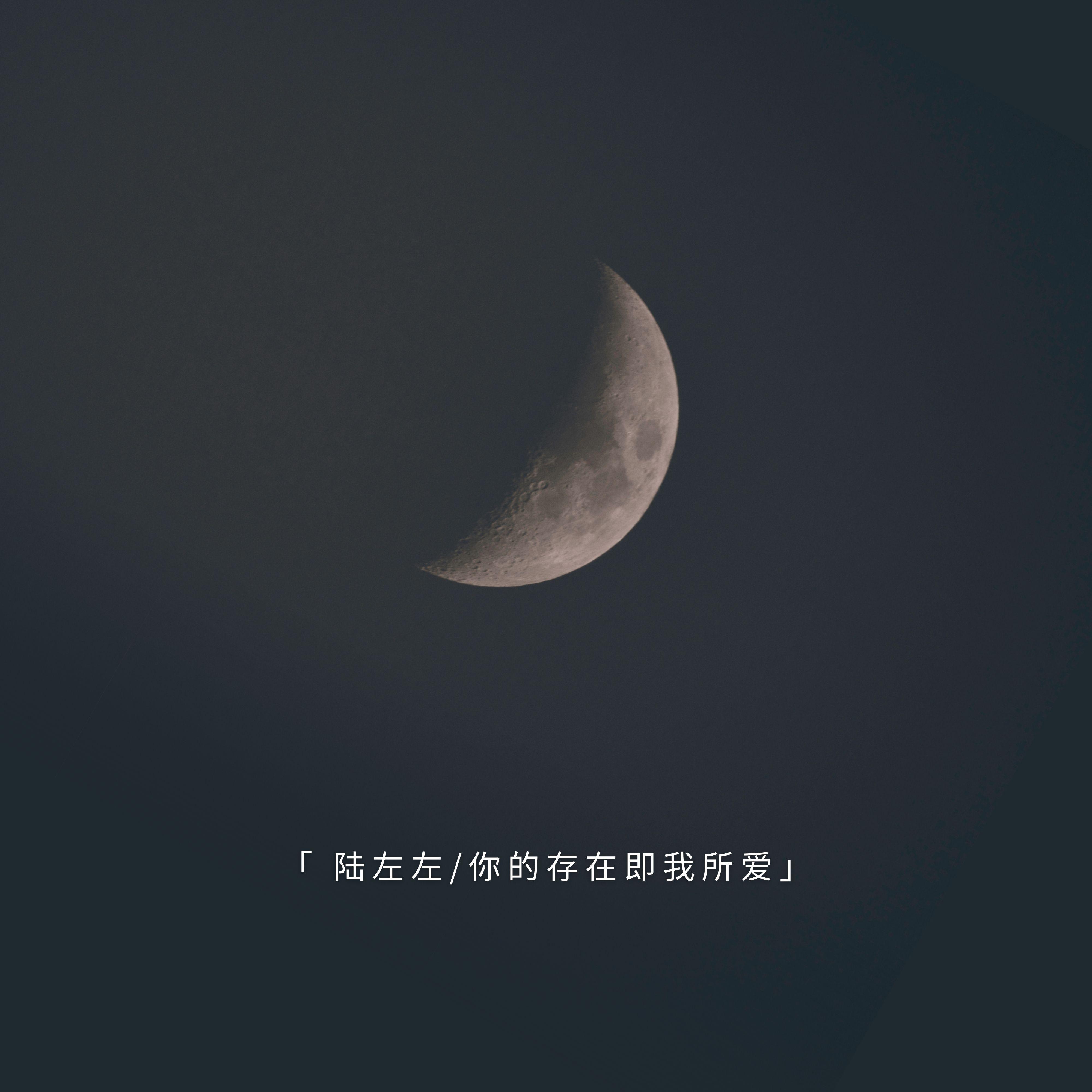 你的存在即我所爱