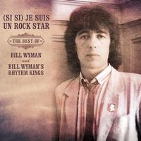 Si Si Je Suis Un Rock Star - Bill Wyman (karaoke)