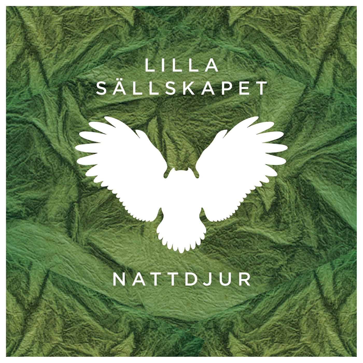 Nattdjur