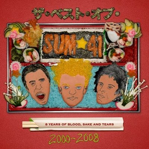 Sum 41 - Still Waiting (PT karaoke) 带和声伴奏