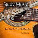 Study Music (Classical Guitar & Flute at the Beach)专辑