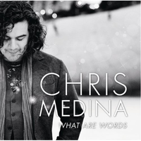 Chris Medina - What Are Words (PT karaoke) 带和声伴奏