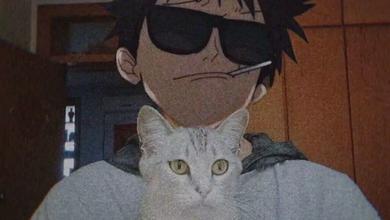 牛马
