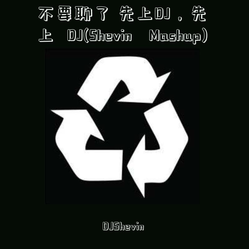 Shevin-不要聊了 先上DJ先上DJ(Shevin Mashup)(DJSERA/DJShevin Remix)
