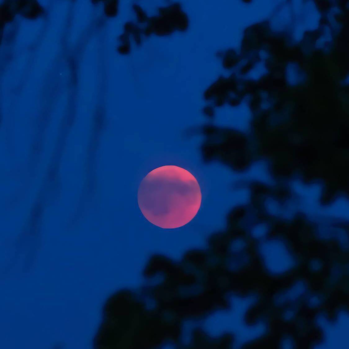 黑夜嘿嘿嘿嘿嘿专辑