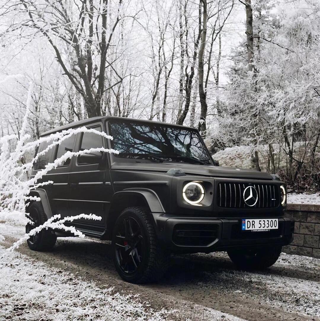 青海摇（猴王摇）