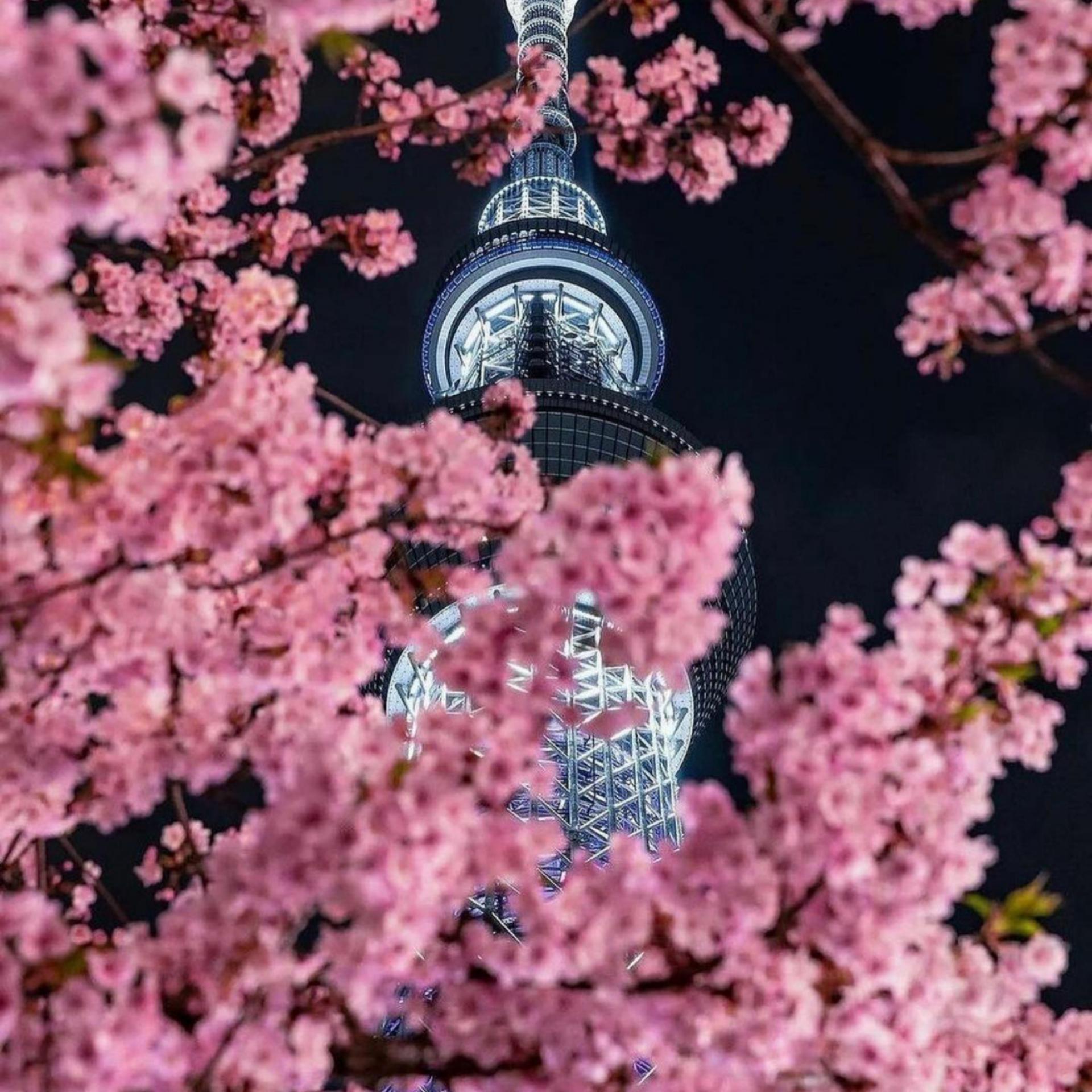 Stoto-9 PM Till I Can't Feel My Face（Bourbon9 / Julya remix）