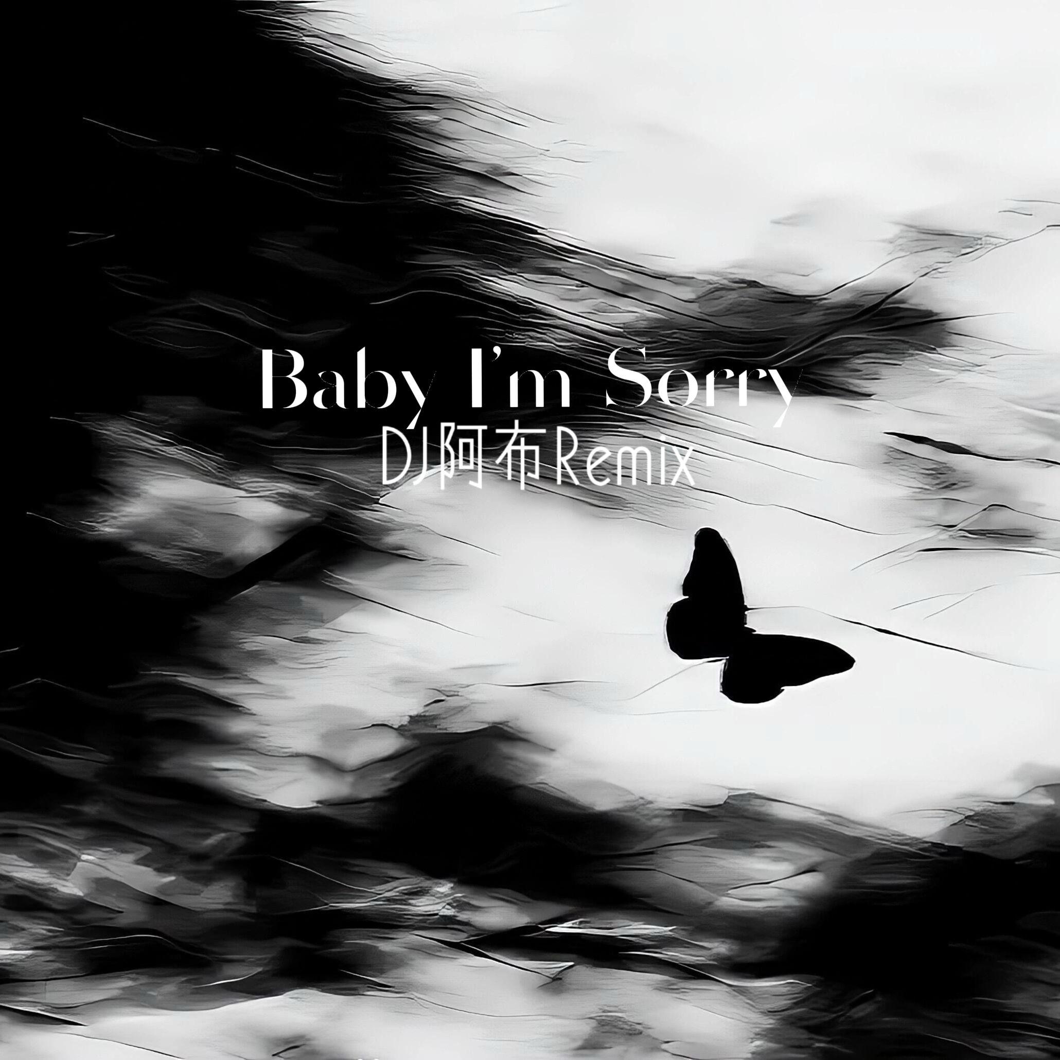 Baby I'm Sorry（DJ阿布 remix）