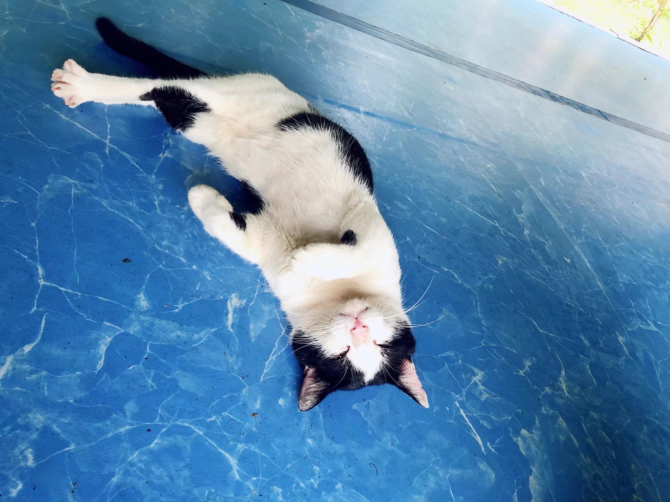 Annoying (Jael X Morgan Remix)