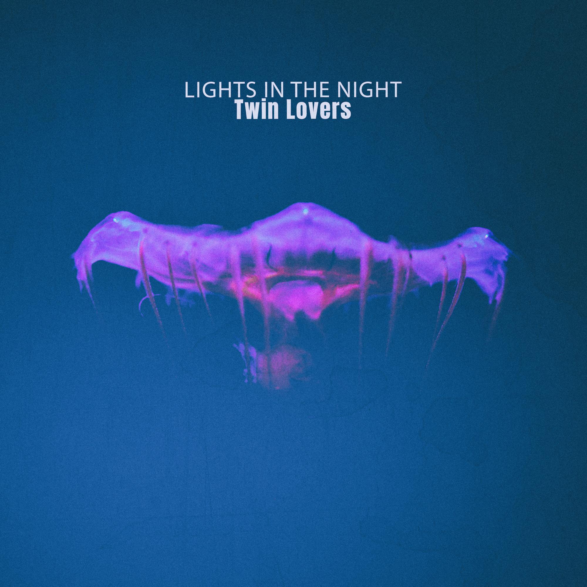 Lights In The Night
