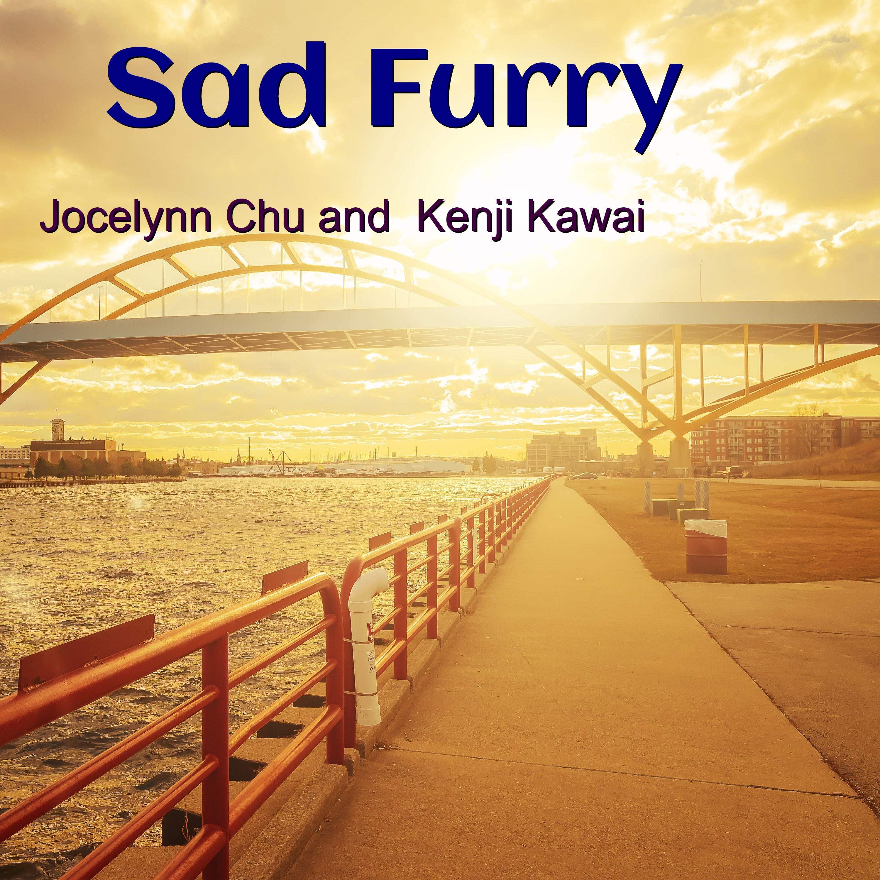 Sad Furry