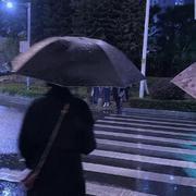 我不再等伞 也不等雨停