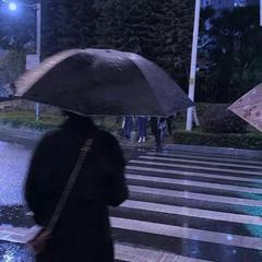 我不再等伞 也不等雨停