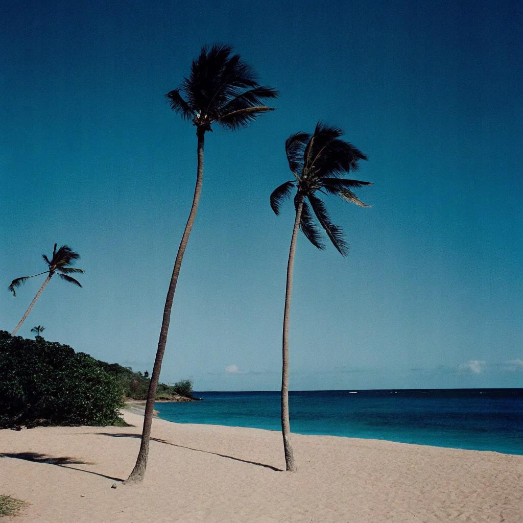 天气好我们去海边