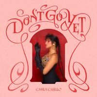 Camila Cabello - Don't Go Yet (Pr Instrumental) 无和声伴奏