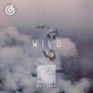 舞曲精选|从《Wild》听起