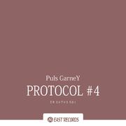 Protocol #4