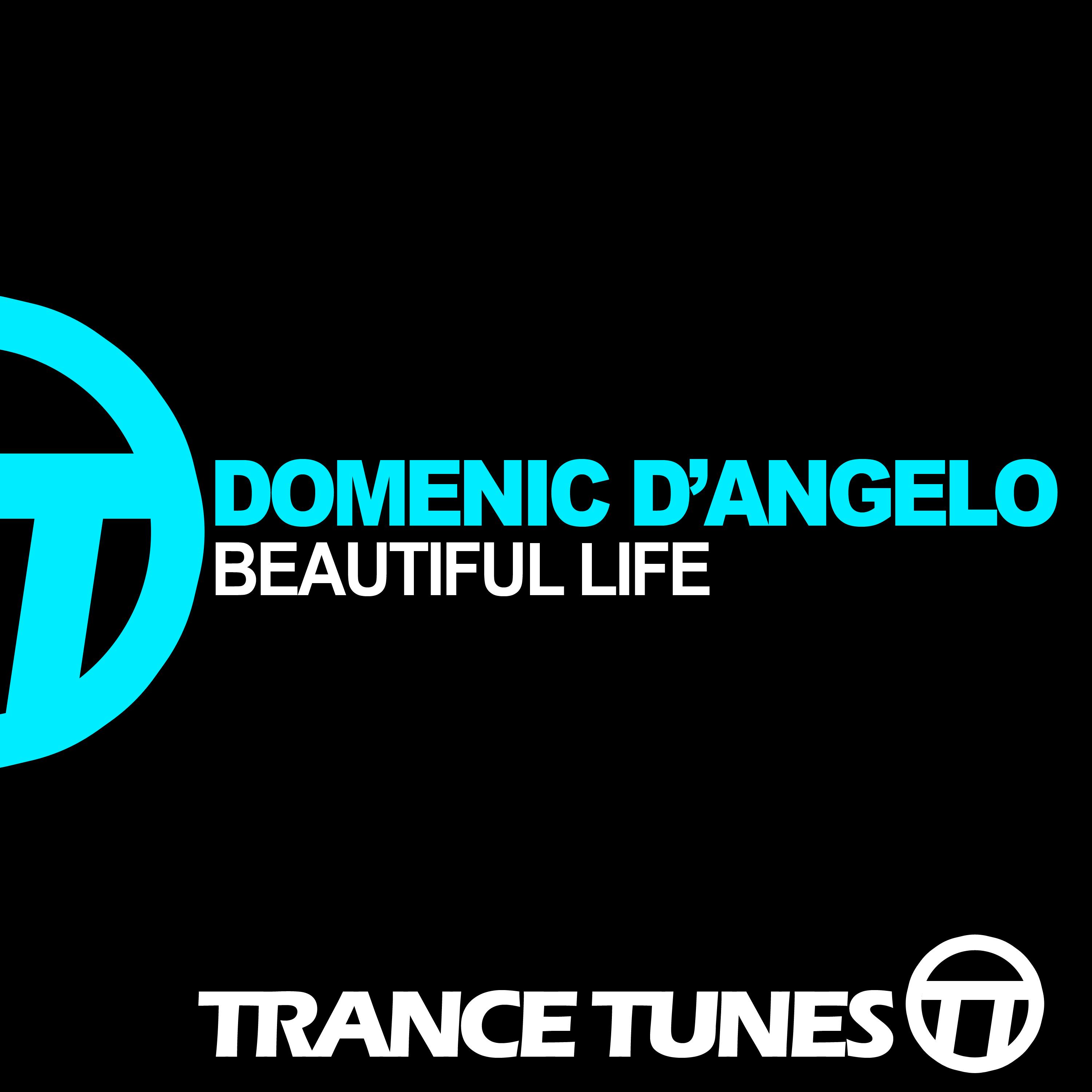 Beautiful Life