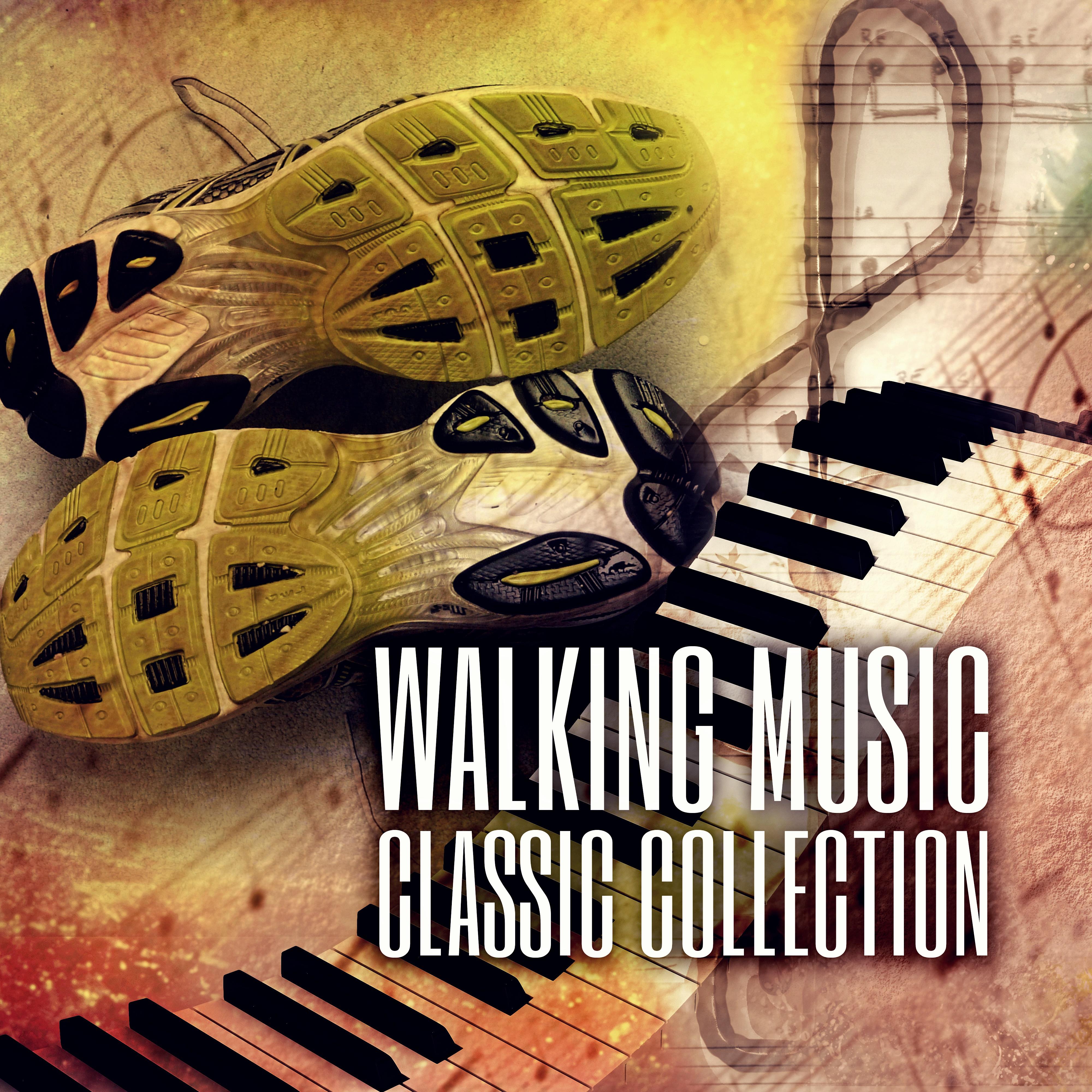 Walking Music Academy - String Quartet No. 9, Op. 59: II. Andante con mato Quasi Allegretto