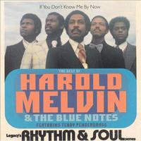 If You Don't Know Me By Now - Harold Melvin & The Blue Notes (karaoke)