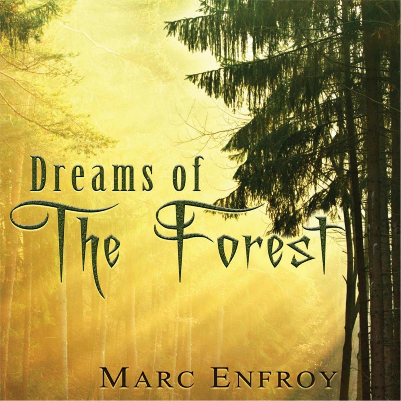 Dreams of the Forest