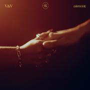 V&V