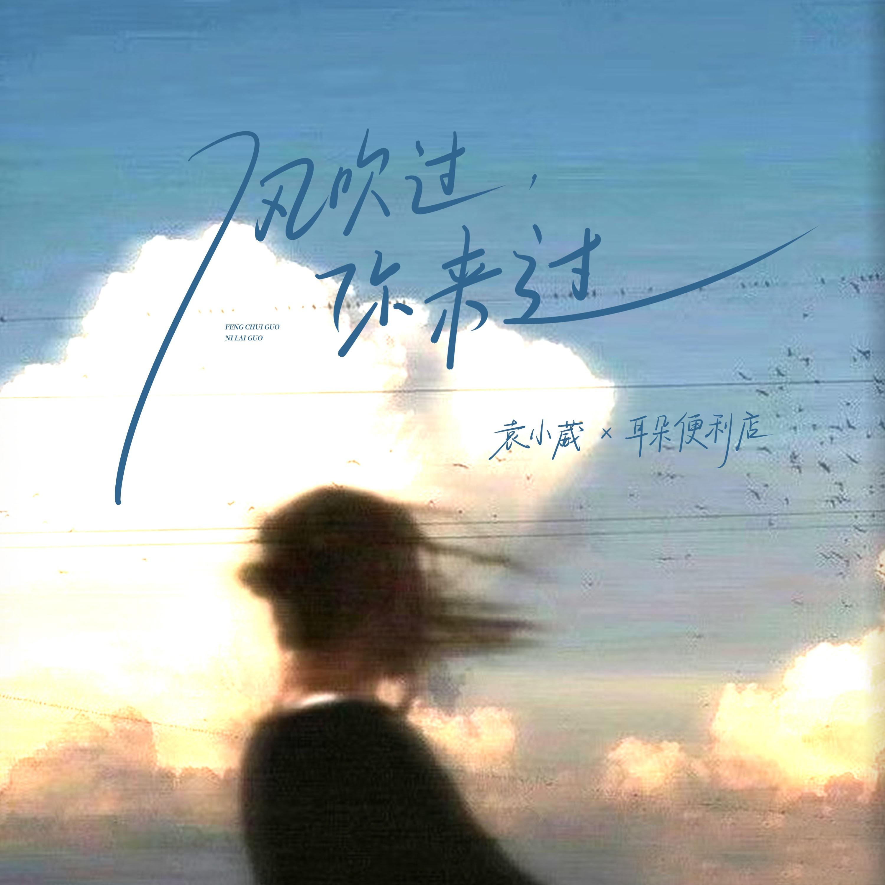 风吹过，你来过