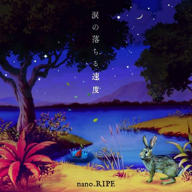 涙の落ちる速度 (通常盤)