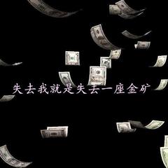 失去我就是失去一座金矿[Prod.socialmannn]