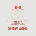 Merry Christmas Shaw Jane专辑