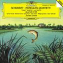 Schubert: Forellen (Trout Quintet) D 667 / Quartet D 96专辑