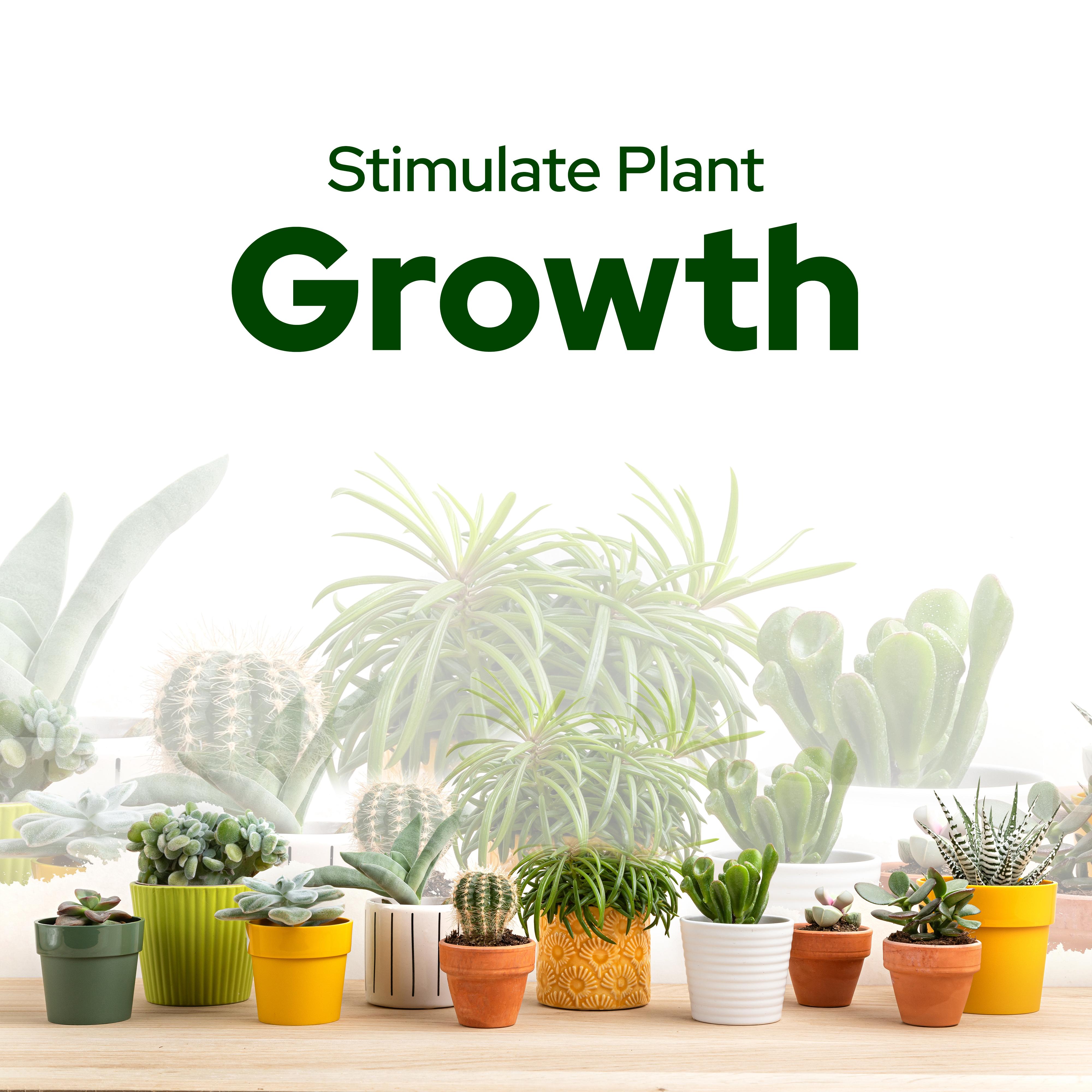 Stimulate Plant Growth - Collection of Relaxing New Age Music for Your Plants
