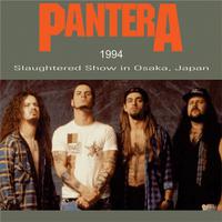 Strength Beyond Strength - Pantera ( Karaoke )