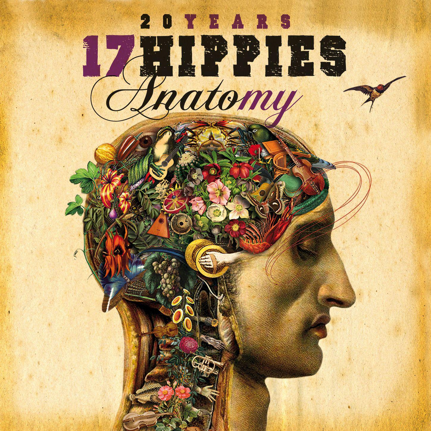 20 Years 17 Hippies - Anatomy专辑