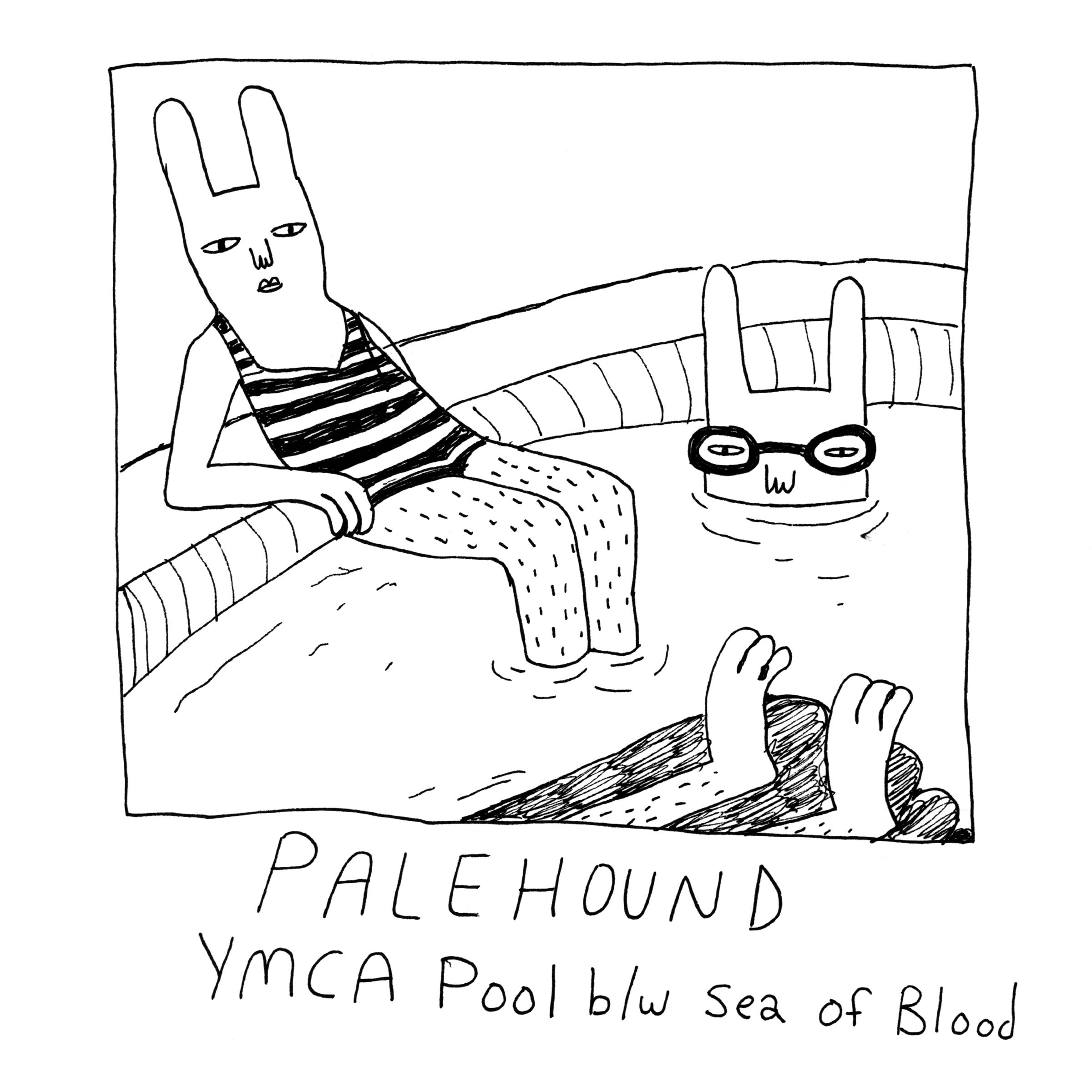 YMCA Pool专辑