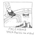YMCA Pool专辑