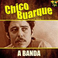 Roda Viva - Chico Buarque (unofficial Instrumental)