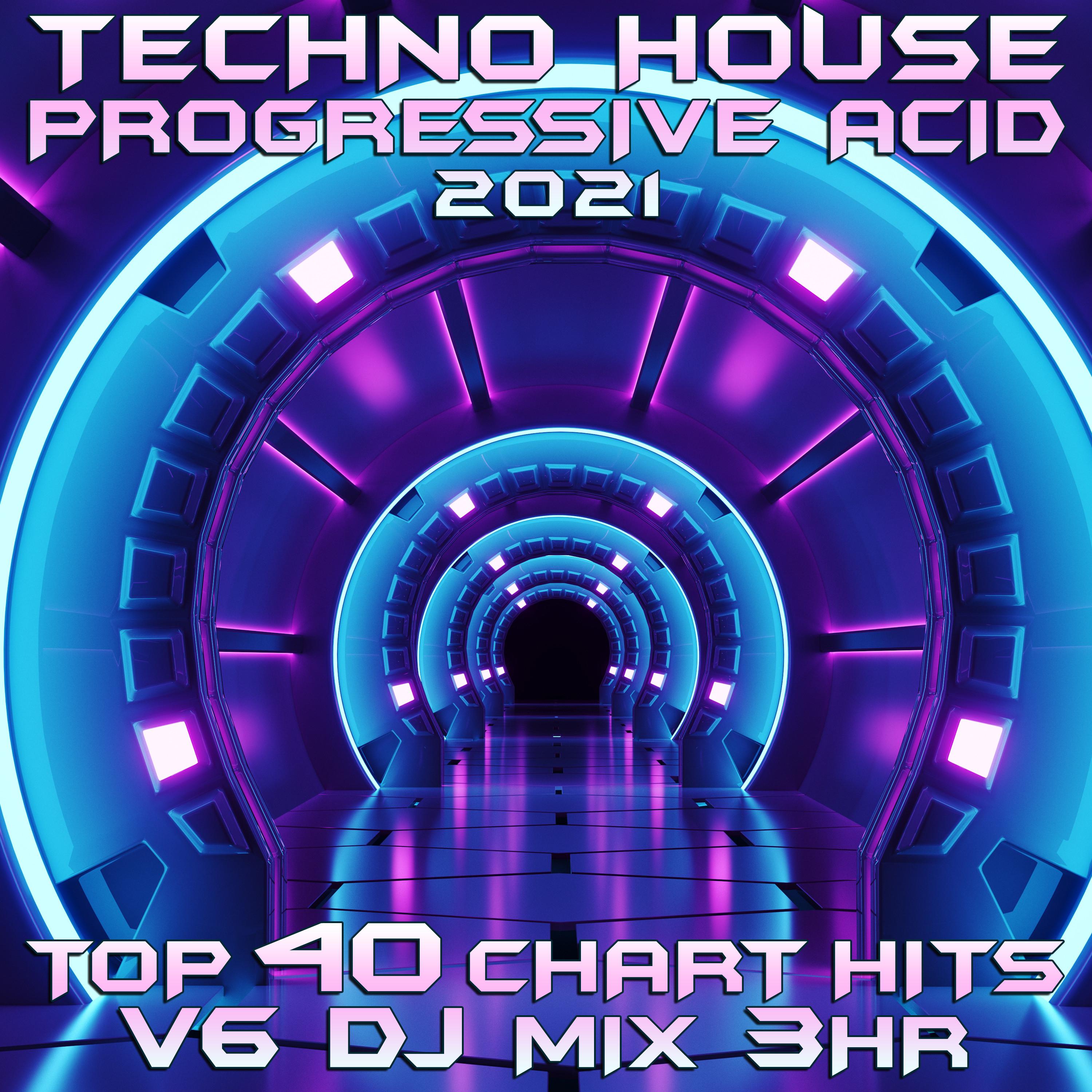 Polyplex - Crushendo (Techno House Progressive Acid DJ Mixed)