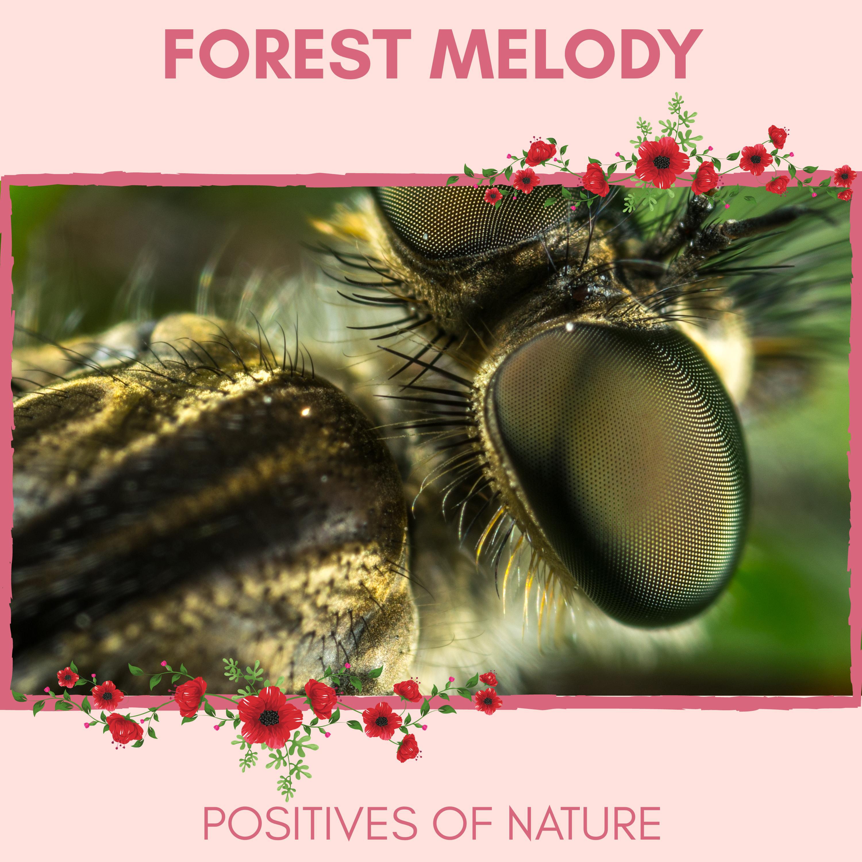 Aweful Nature Serenity Vibes - Hoppy Crickets