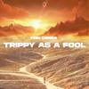 Fein Cerra - Trippy As A Fool