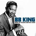 Best of Blues Guitar King专辑