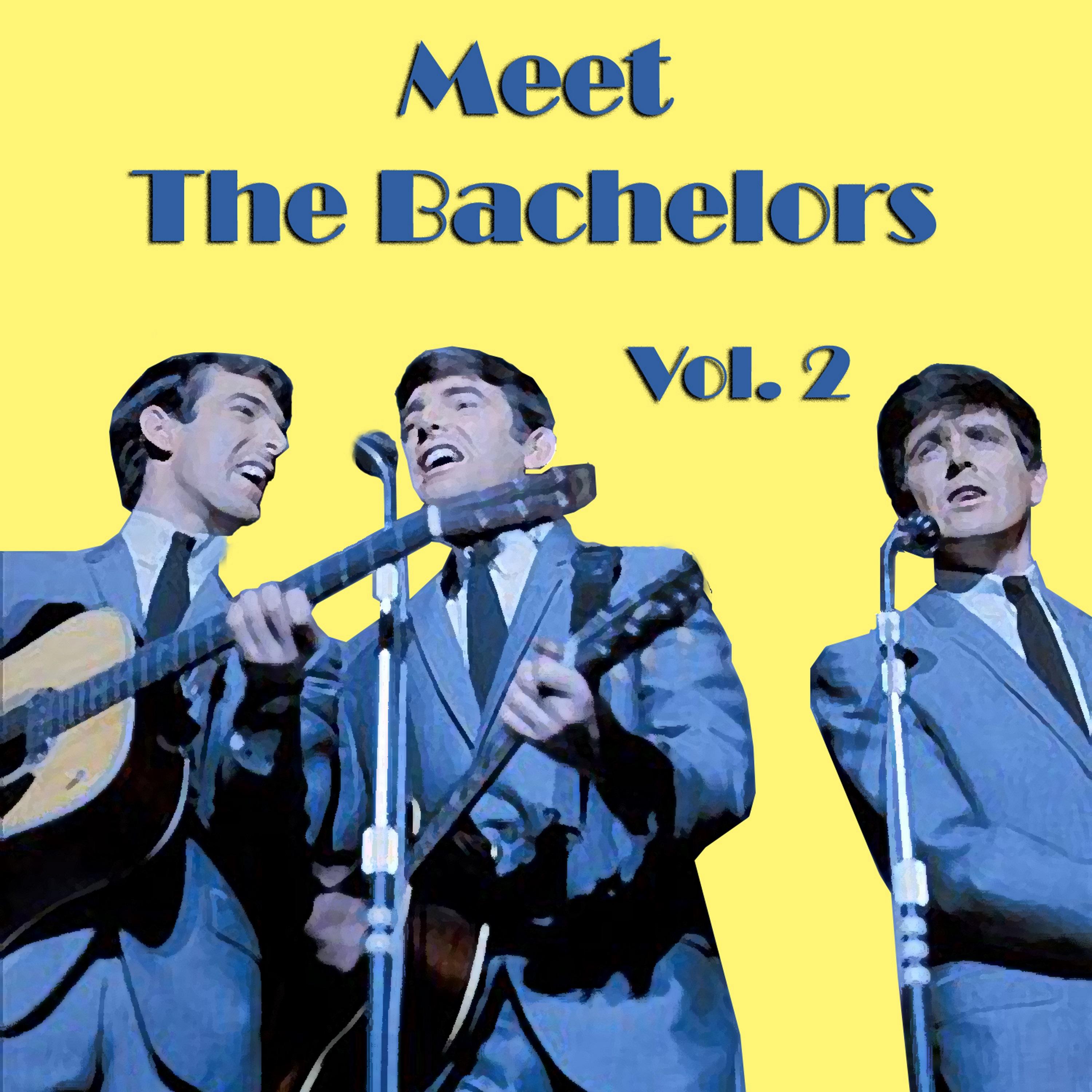 Meet The Bachelors, Vol. 2