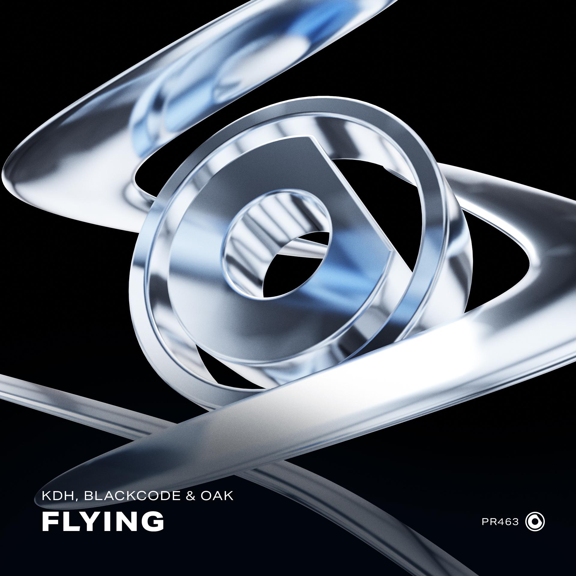 Flying